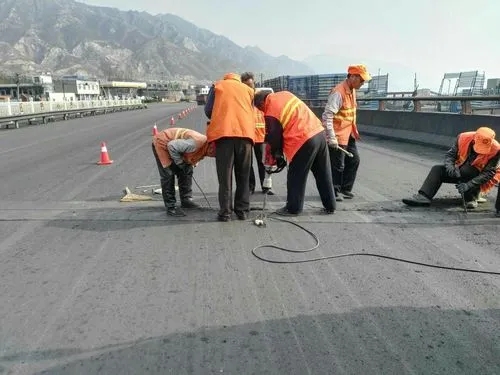 淮阴道路桥梁病害治理